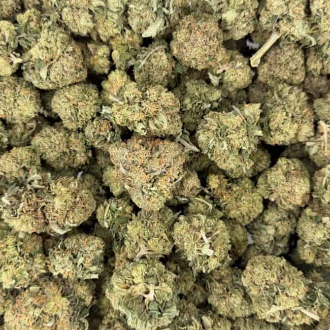 pp og pink full