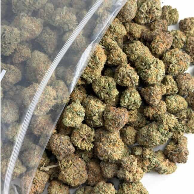 pp peaches and cream bulk