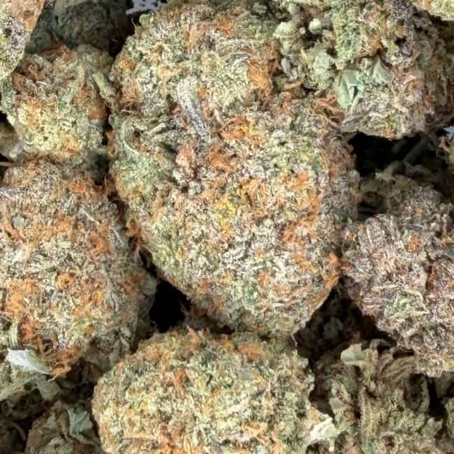 pp peaches n cream 2