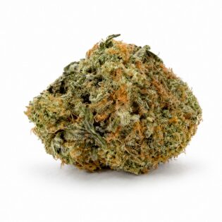 peaches n cream Image of cannabis bud with frosty trichomes on a crisp white background