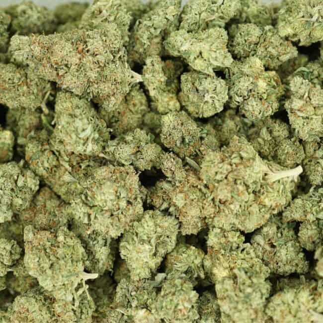 pp pink kush full