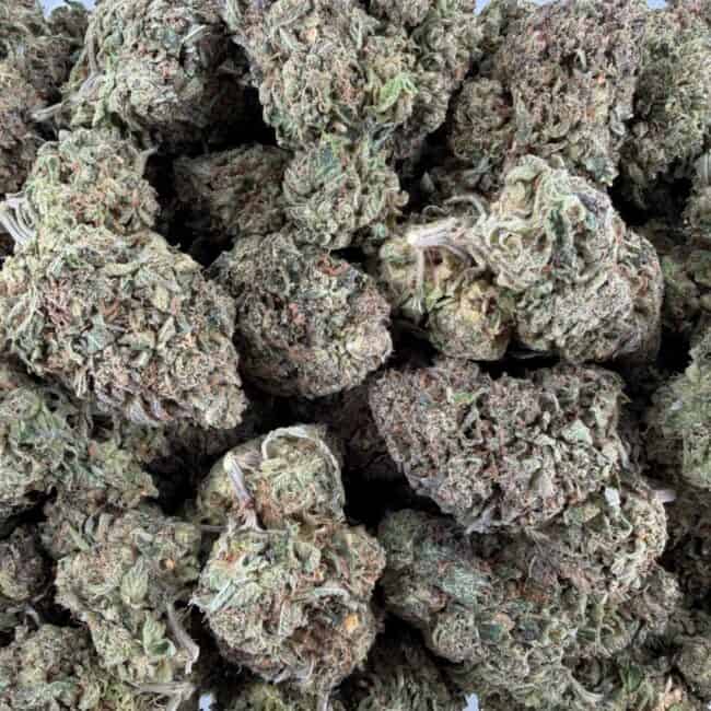 pp pink rockstar full