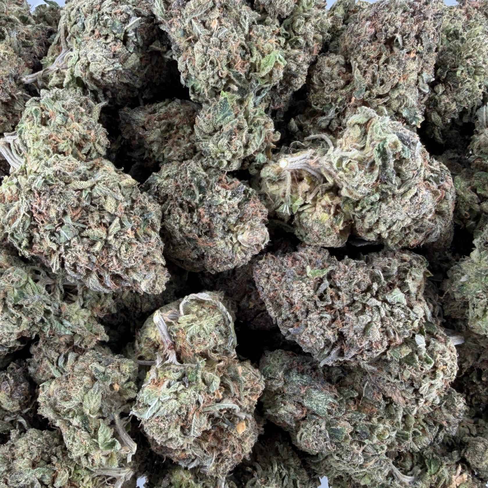 pink rockstar top view of cannabis buds with dense structure, frosty trichomes, and light green coloration