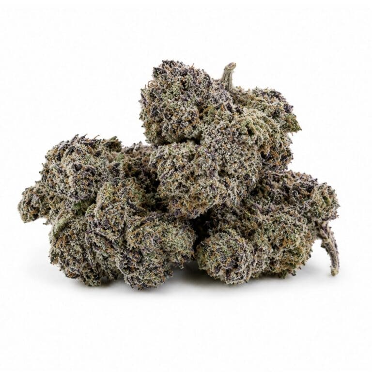Image d'un bourgeon de cannabis recouvert de trichomes givrés sur un fond blanc immaculé