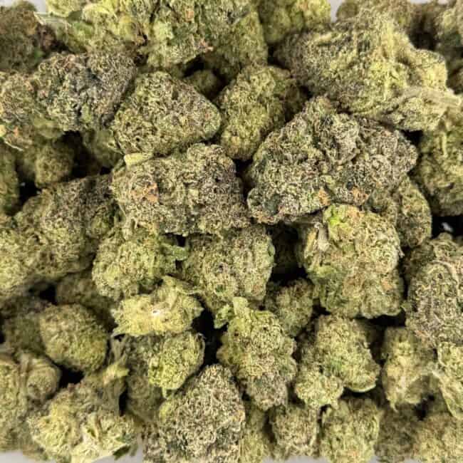 pp sherbet full