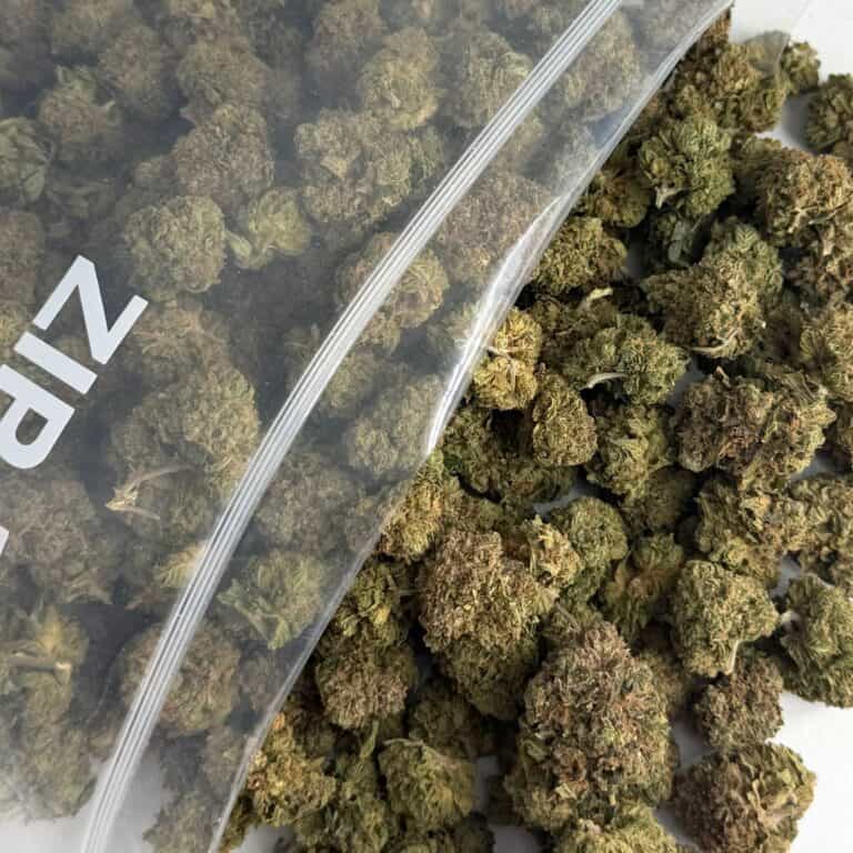 tiger king bulk close-up image of cannabis buds spilling out of a clear ZIP-ZAG plastic bag onto a white surface, showing dense green nugs with visible trichomes and orange hairs.