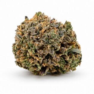 tiger king Image of cannabis bud with frosty trichomes on a crisp white background