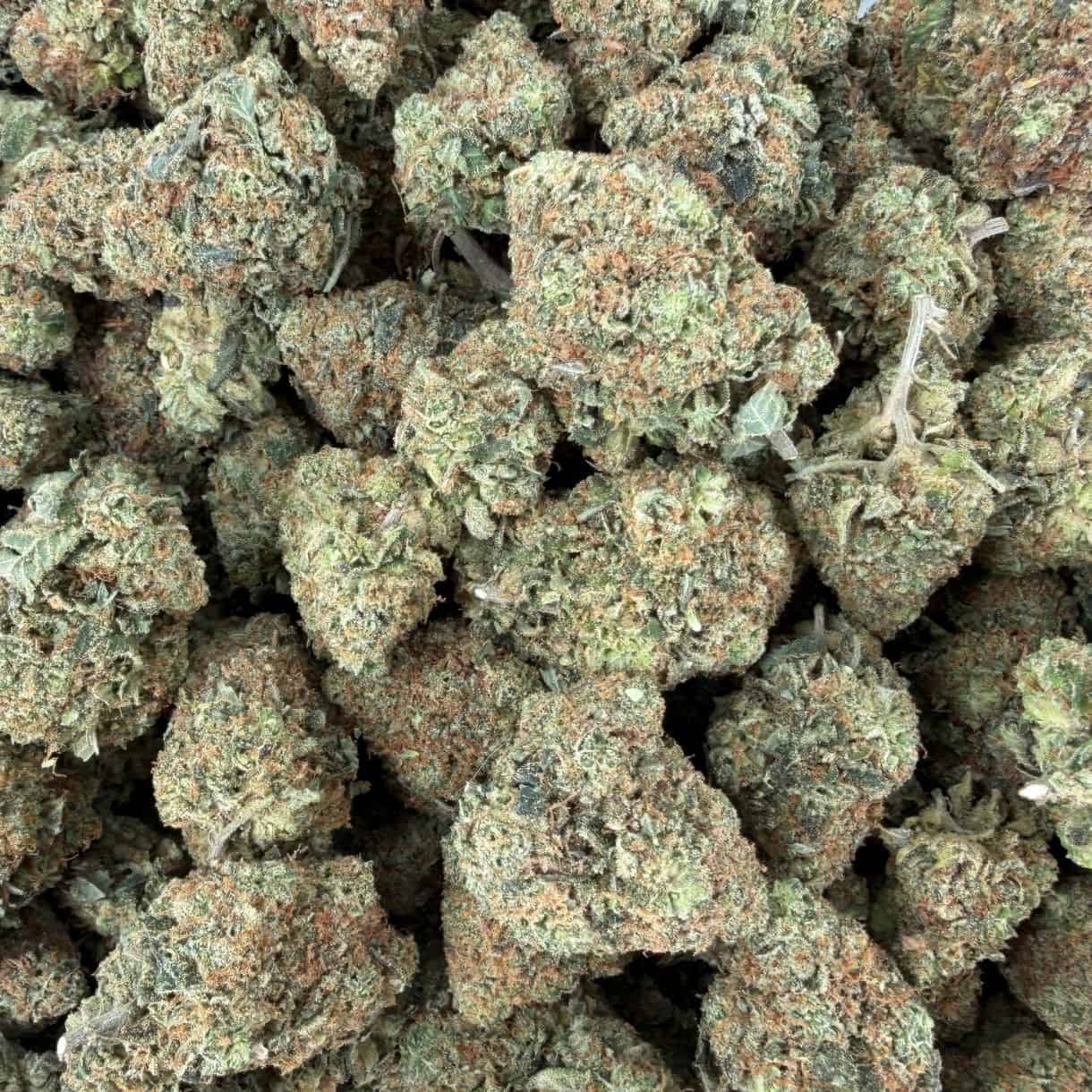 28 g - TOM FORD PINK KUSH - INDICA - (AAA) - Image 3