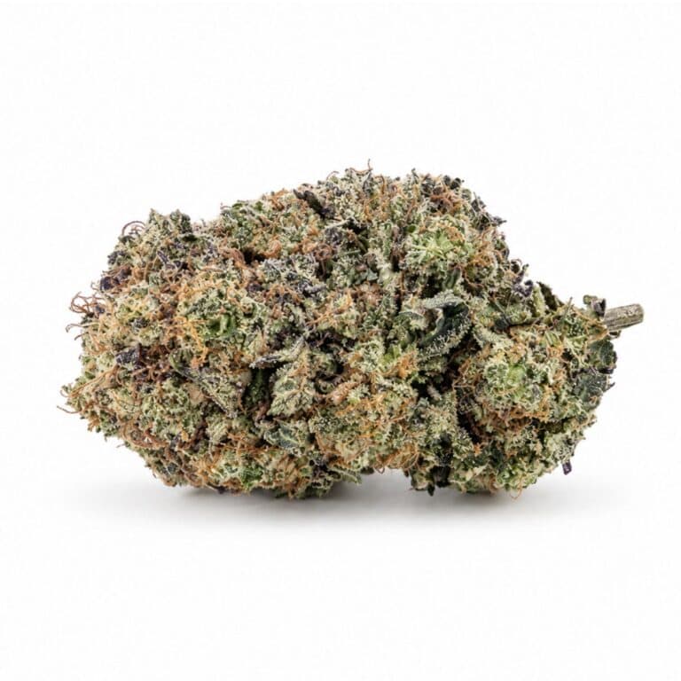 Image d'un bourgeon de cannabis recouvert de trichomes givrés sur un fond blanc immaculé