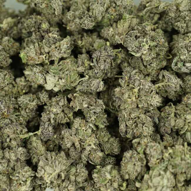 pp white truffle smalls full