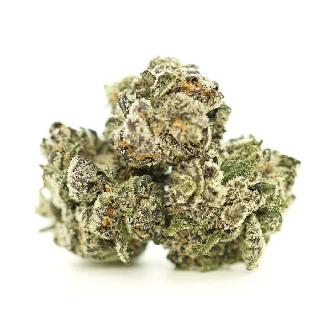Image of white truffle smalls cannabis bud with frosty trichomes on a crisp white background