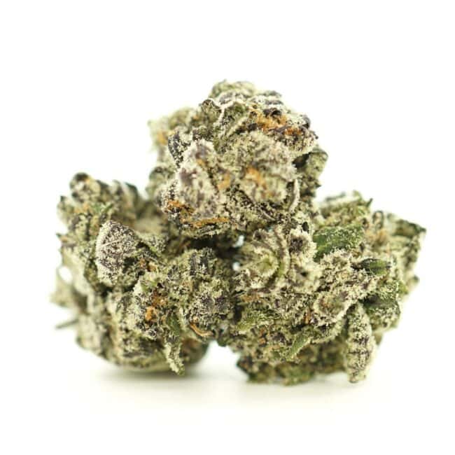 Image of white truffle smalls cannabis bud with frosty trichomes on a crisp white background