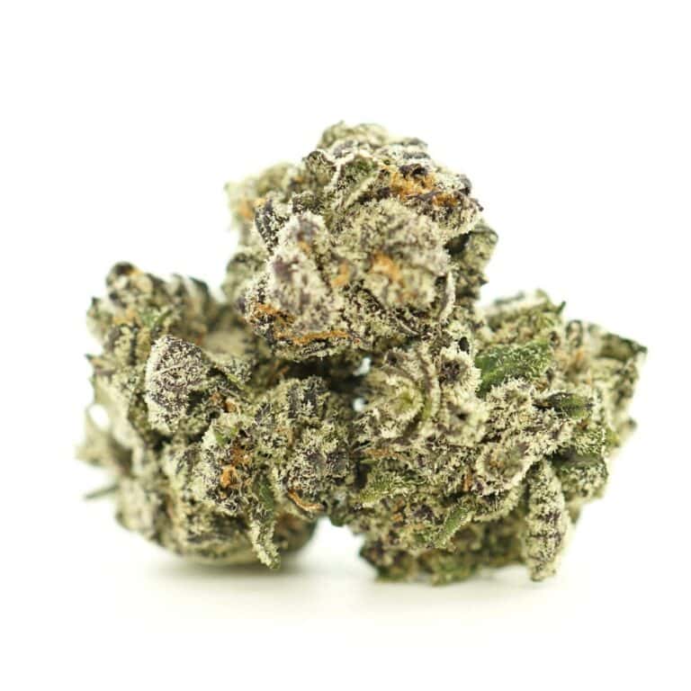Image of white truffle smalls cannabis bud with frosty trichomes on a crisp white background