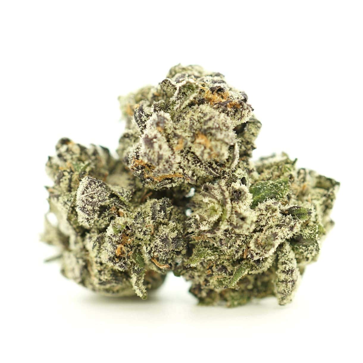 Image of white truffle smalls cannabis bud with frosty trichomes on a crisp white background