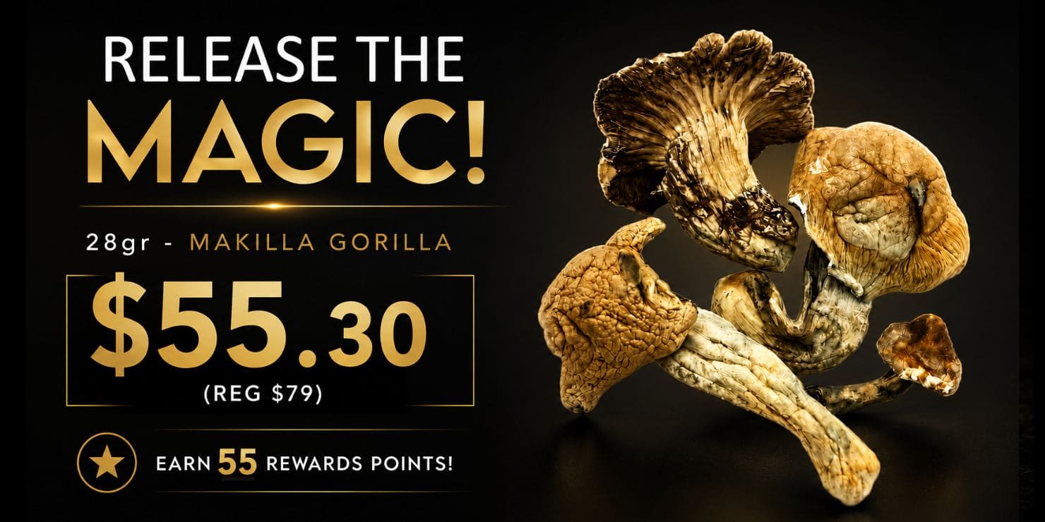 Release the Magic promotional banner featuring 28g Marilla Gorilla cannabis flower with premium packaging and close-up buds. Sale price $55.30. Includes strain details, indica dominance, and flavour notes of earthy, spicy, and citrus on a black and gold background.