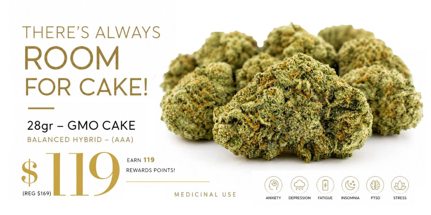 Promotional banner featuring 28g GMO Cake (AAA Balanced Hybrid) cannabis flower for $119 (regular $169), earning 119 reward points, with premium cannabis buds on a white background and medicinal use icons for anxiety, depression, fatigue, insomnia, PTSD, and stress