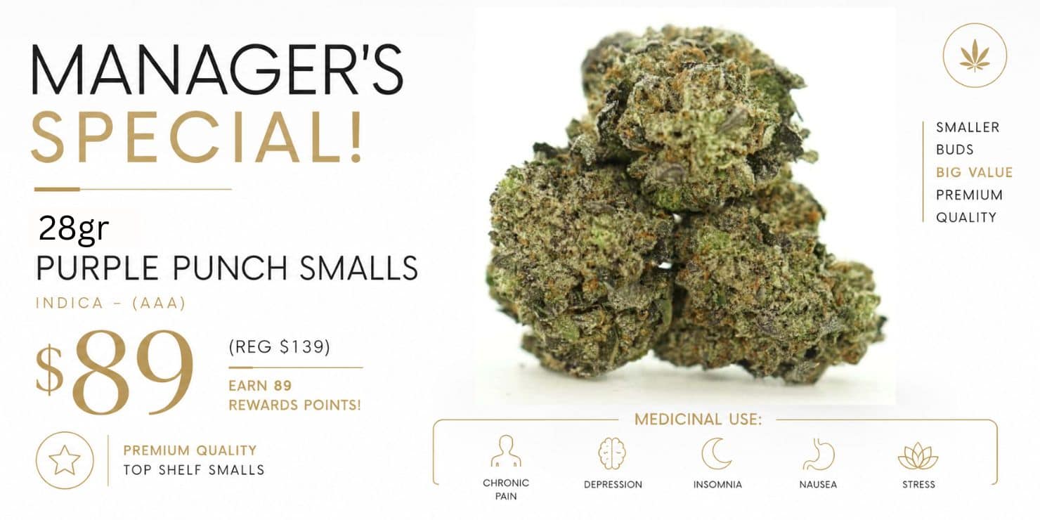 Manager's Special featuring 28g Purple Punch Smalls (AAA) indica for $89, with premium-quality small buds, medicinal use icons, and reward points.