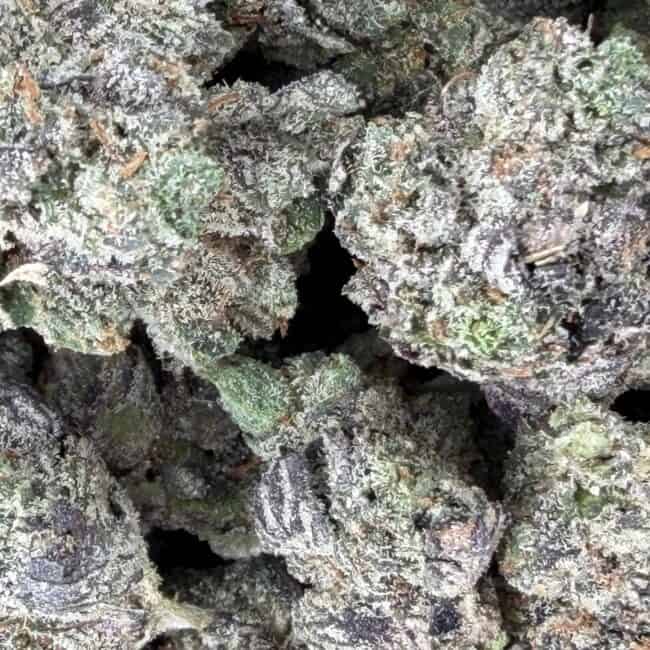 PP island pink kush smalls 2