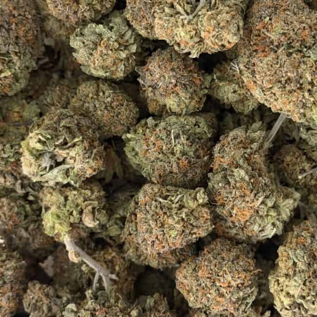 PP larry bird full