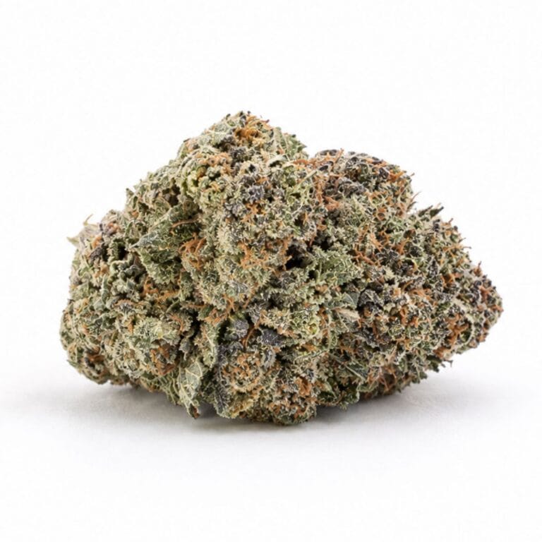 monkey glue Image d'un bourgeon de cannabis aux trichomes givrés sur un fond blanc immaculé