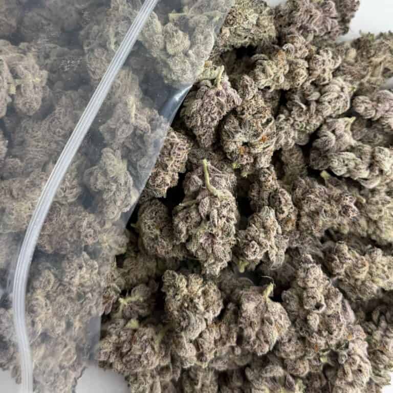 Gros plan sur des têtes de cannabis débordant d'un sachet en plastique transparent de marque ZIP-ZAG sur une surface blanche, montrant des têtes vertes denses avec des trichomes visibles et des poils orange.