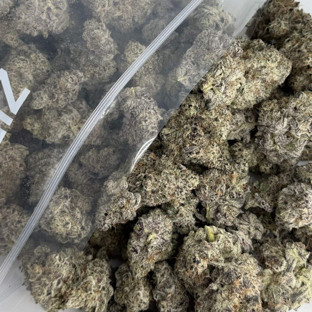 close-up image of cannabis buds spilling out of a clear ZIP-ZAG plastic bag onto a white surface, showing dense green nugs with visible trichomes and orange hairs.