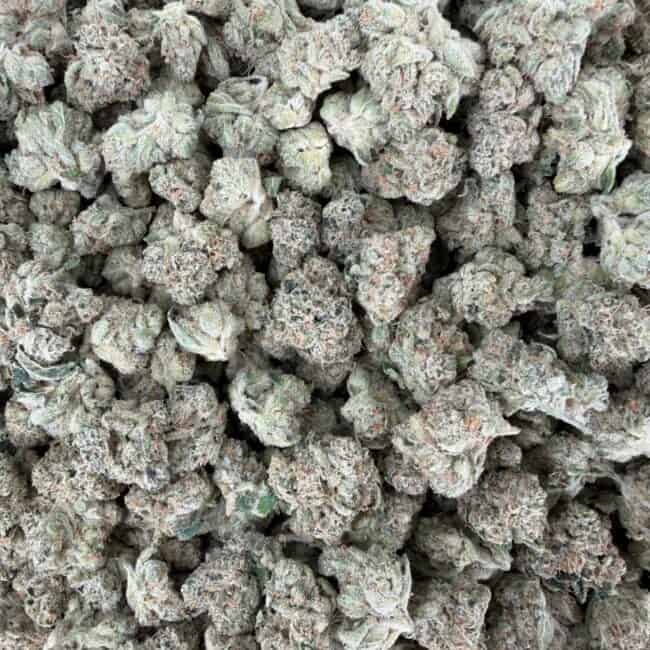 pp chocolope kush smalls full