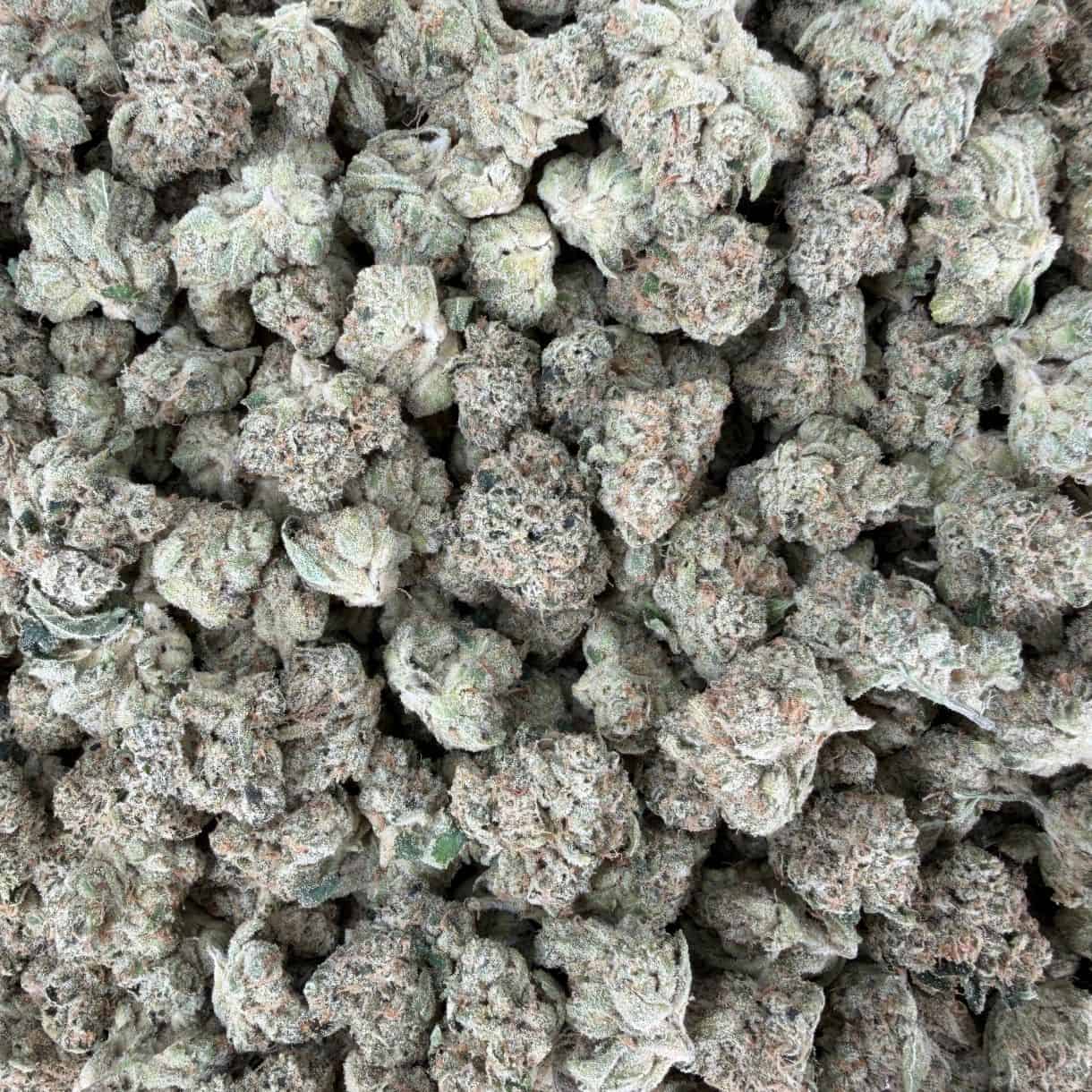 28gr - CHOCOLOPE KUSH SMALLS - BALANCED HYBRID - (AAA) - Image 3