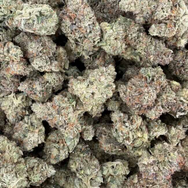 pp gucci pink full