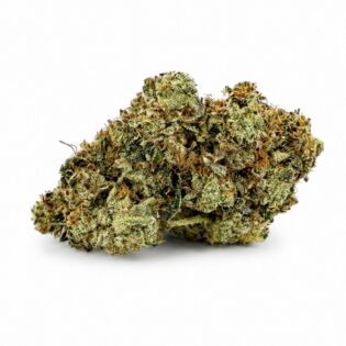 gucci pink Image of cannabis bud with frosty trichomes on a crisp white background