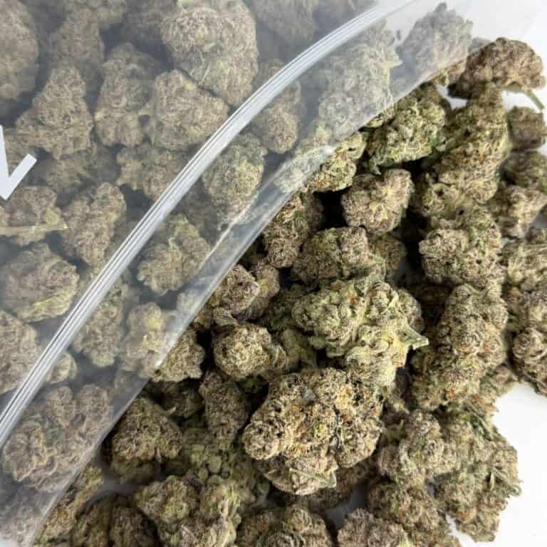 Gros plan sur des têtes de cannabis débordant d'un sachet en plastique transparent de marque ZIP-ZAG sur une surface blanche, montrant des têtes vertes denses avec des trichomes visibles et des poils orange.