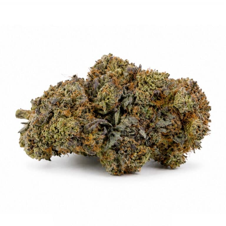rockstar platinum : image d'un bourgeon de cannabis aux trichomes givrés sur un fond blanc éclatant