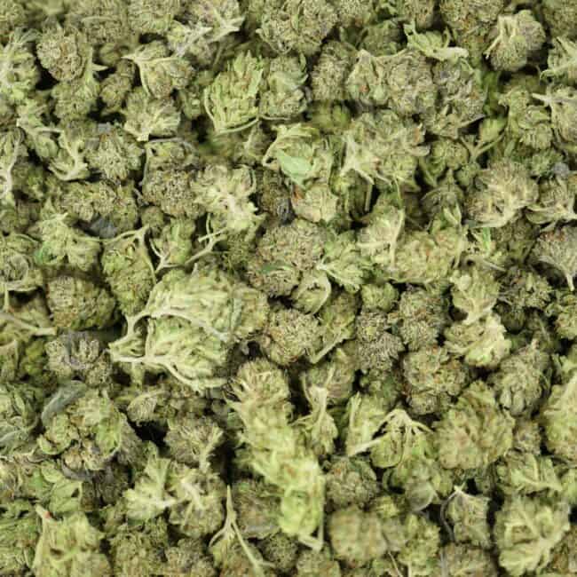 pp mid chunky monkey full