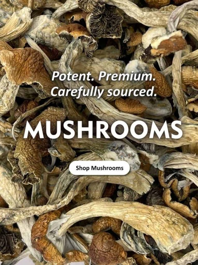 Premium dried mushrooms assortment with “Shop Mushrooms” call-to-action banner on homepage slider.