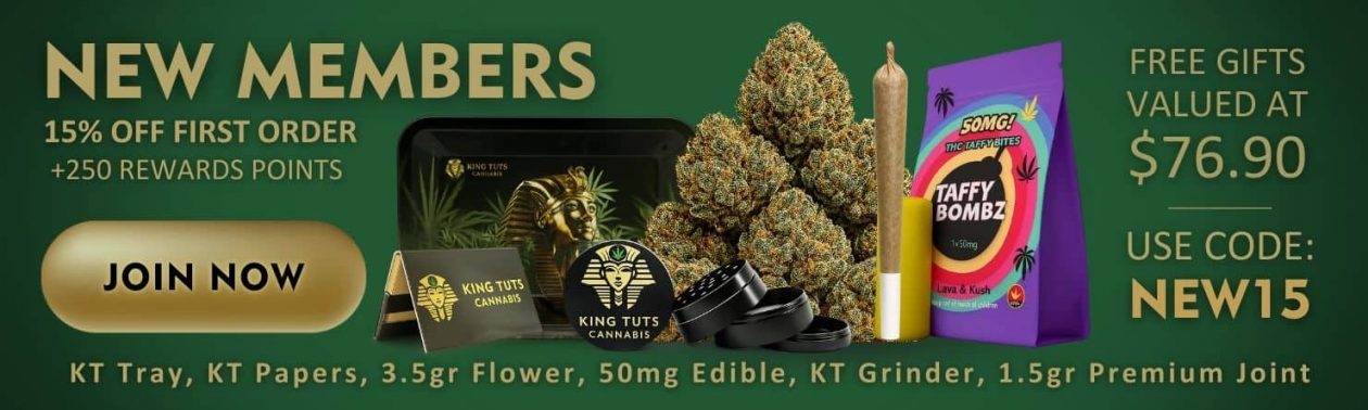 new member new vig kt grind