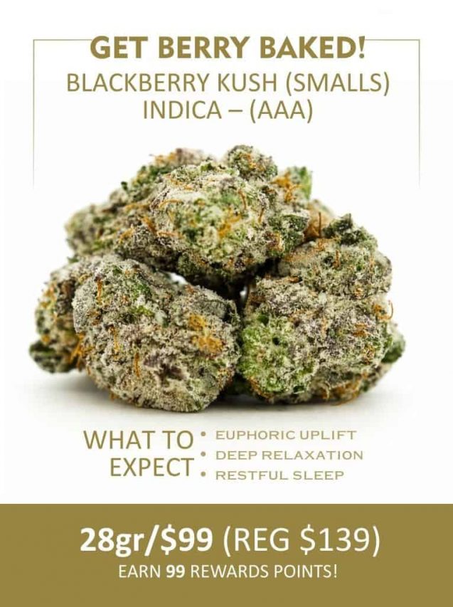 Get Berry Baked Black Berry Kush smalls AAA indica cannabis flower promotion, 28g for $99 regular $139.