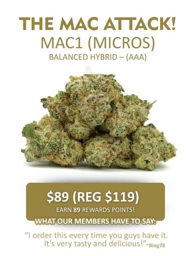 Promotional banner for “The Mac Attack” MAC1 micros, a balanced hybrid cannabis flower, featuring green buds and pricing information for members.